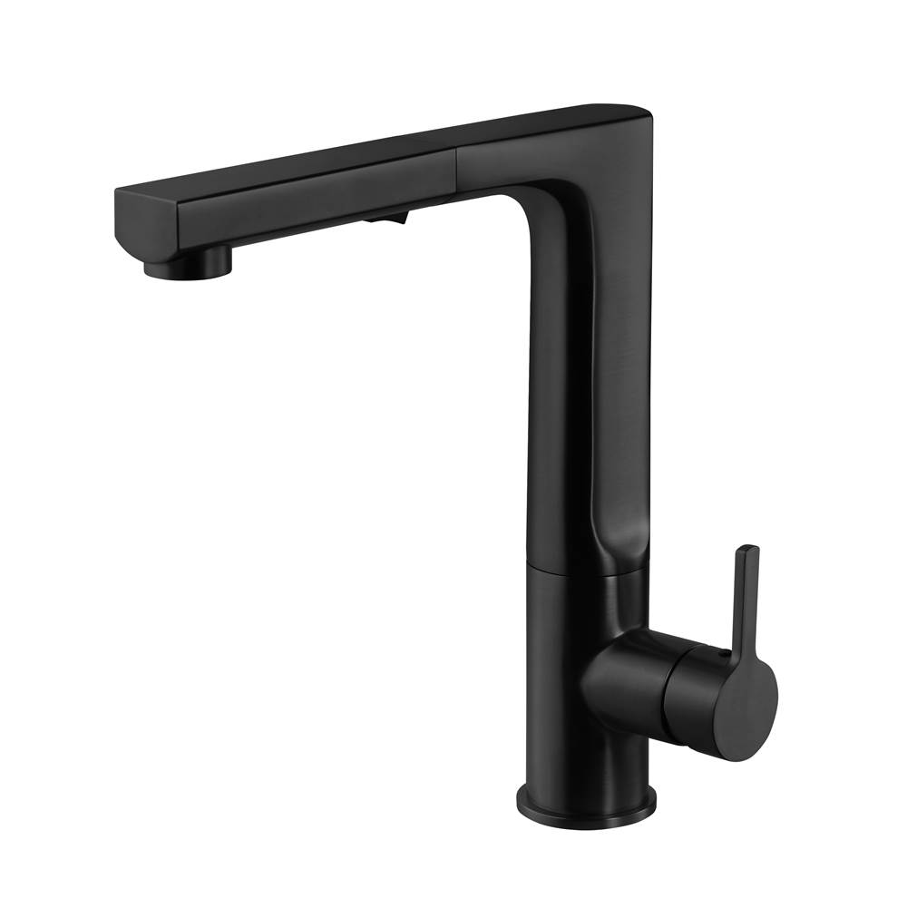 Hamat Dual Function Pull Out Kitchen Faucet in Matte Black