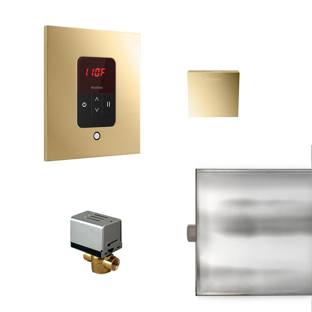 Mr. Steam Basic Butler Steam Shower Control Package with iTempo Control and Aroma Designer SteamHead in Square Polished Brass