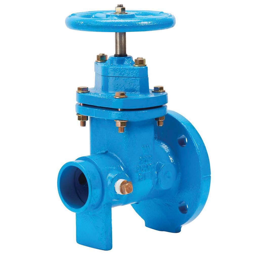 Watts 2 1/2 In Ductile Iron Resilient Wedge Gate Valve, Flange X Groove, Epoxy Coated